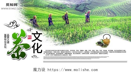 中国茶文化海报设计展板设计